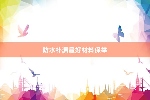 防水补漏最好材料保举